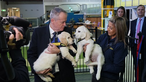 A man and woman both hold a golden retriever puppy as a crowd looks on