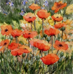 The artwork 'Poppies' by Stella Stephenson