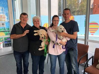 " Four of our puppy carers hold two young Golden Labrador pups at our Puppy Centre"